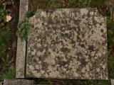 image of grave number 233487